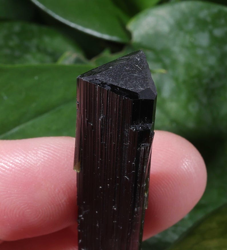 Pu&ograve; includere: Un singolo cristallo di tormalina nera allungato caratterizzato da una punta triangolare distinta. La superficie del minerale presenta striature verticali lungo la sua lunghezza, con un colore nero opaco profondo e una lucentezza vitrea.