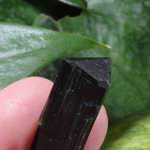 Pu&ograve; includere: Un cristallo di tormalina nera con una distinta terminazione triangolare e striature verticali lungo la sua lunghezza. Il campione minerale presenta una superficie scura, opaca e riflettente con una punta geometrica affilata all'estremit&agrave;.