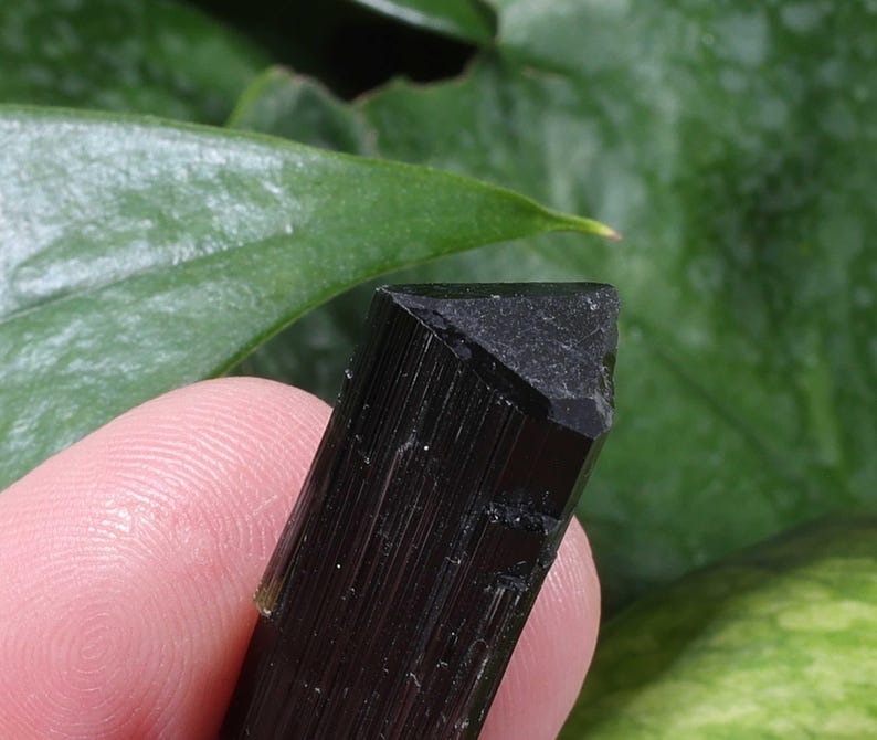 Pu&ograve; includere: Un cristallo di tormalina nera con una distinta terminazione triangolare e striature verticali lungo la sua lunghezza. Il campione minerale presenta una superficie scura, opaca e riflettente con una punta geometrica affilata all'estremit&agrave;.