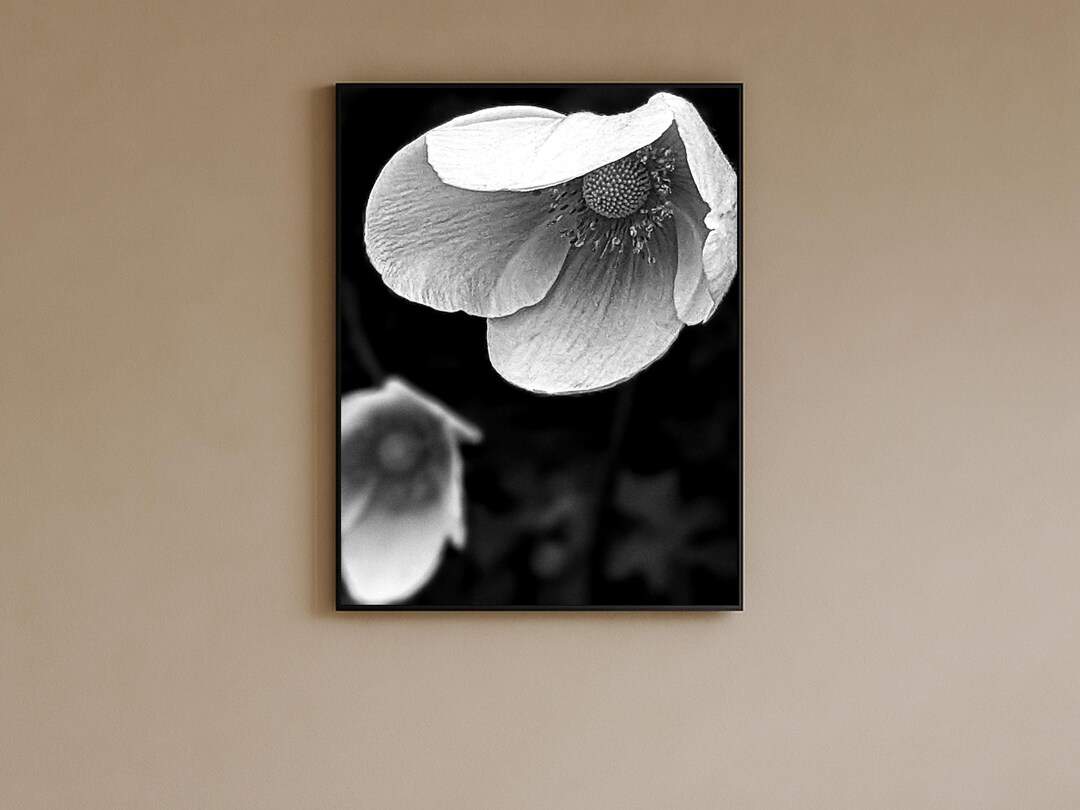 Black and White Art Minimalist Botanical Floral Wall Art Digital ...