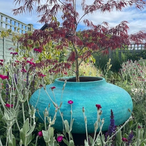 May include: A large, round, turquoise planter with a textured, horizontal-lined surface and a wide opening, containing a young Japanese maple tree with delicate, deep red, lace-like leaves, positioned amidst a garden of purple and white flowers.