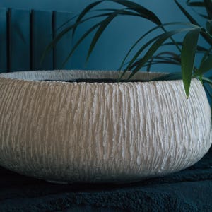 May include: A large, textured, off-white ceramic planter with a wide, rounded shape. The planter has a rough, vertical-lined surface and is partially filled with dark soil. Green plant leaves are visible.