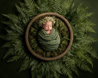 Newborn Fern Digital Backdrop | Greenery Circle (Digital Download)