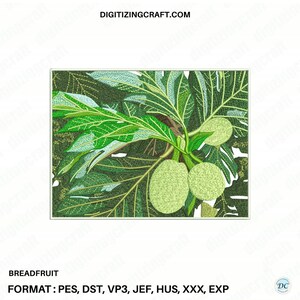 Breadfruit Embroidery Design, Machine Embroidery File for Pes Dst Jef, Digital Download