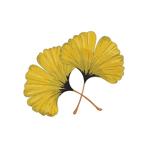 May include: Two stylized yellow ginkgo leaves with black veins and orange stems, set against a white background. The leaves are detailed with textured patterns, creating a botanical illustration.