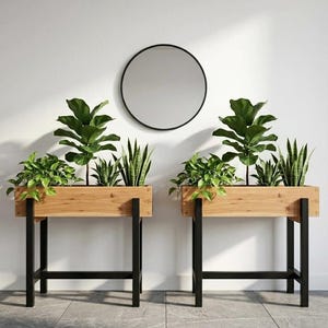 May include: Two rectangular light wood planters with black metal stands, each containing a fiddle leaf fig and snake plants. The planters are positioned side by side, and a circular mirror is mounted on the wall centred above them.