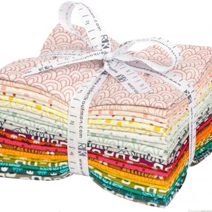 Library cotton fabric by Elizabeth Hartman for Robert Kaufman