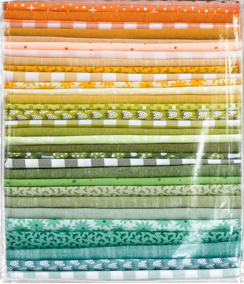 Dinosaur Quilt Kit by Elizabeth Hartman for Robert Kaufman | Etsy