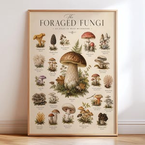 Magic mushroom art - Etsy 日本