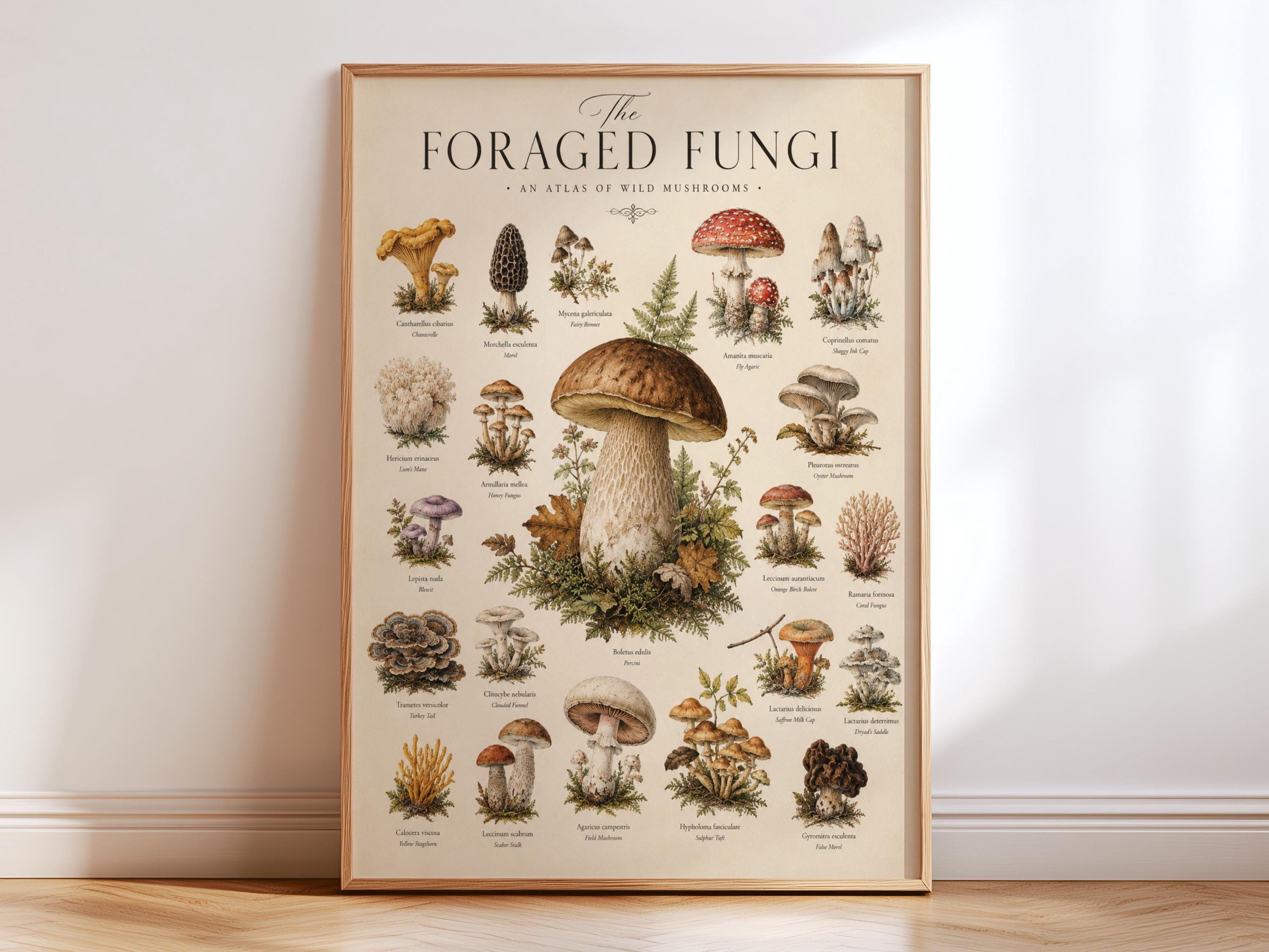 Magic mushroom art - Etsy 日本