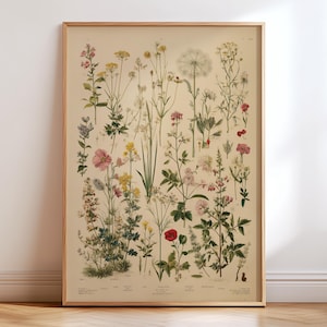 Vintage Wildflower Botanical Poster – Antique Herbarium Floral Wall Art Print