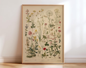 Vintage Wildflower Botanical Poster – Antique Herbarium Floral Wall Art Print