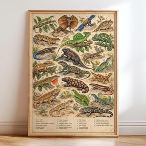 Lizard Species Chart Poster, Reptile Wall Art, Vintage Style Nature Print, Wildlife