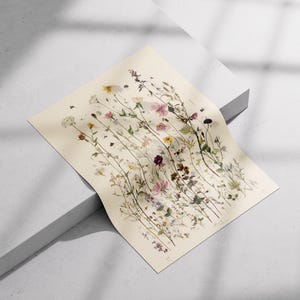 Field Flower Herbarium Print, Natural History Botanical Illustration, Museum Style Floral Poster image 5