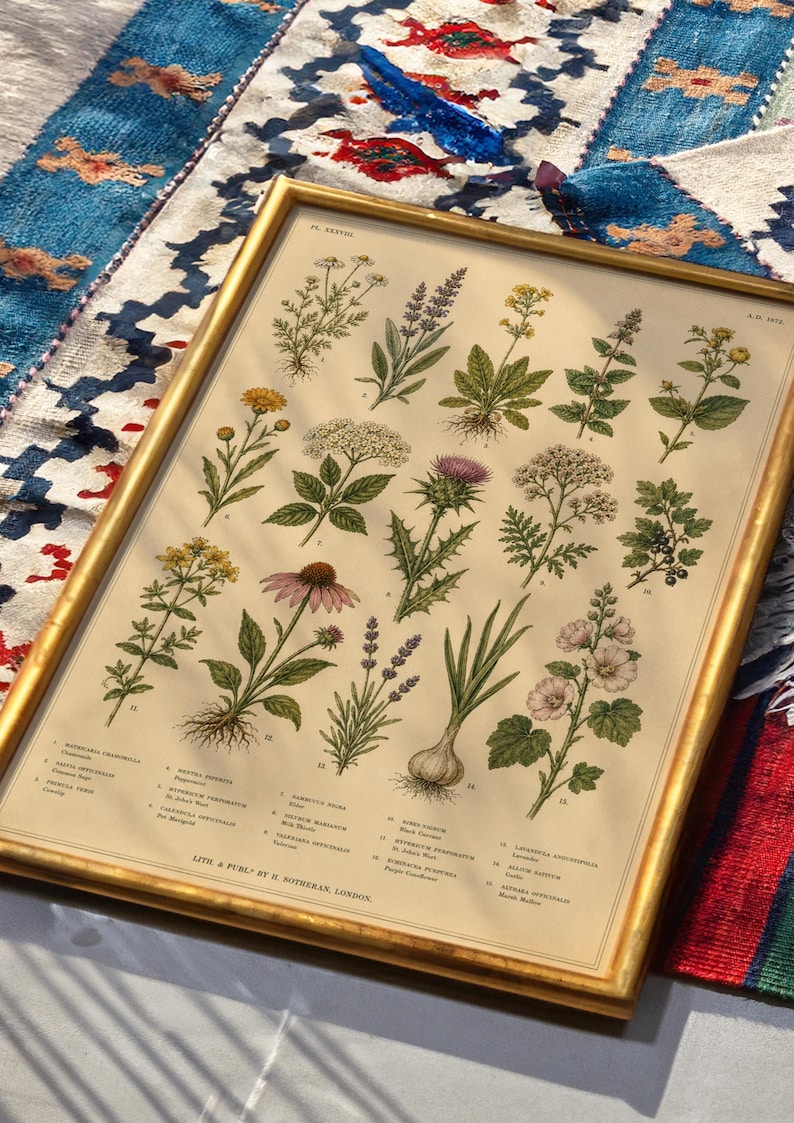 May include: A framed botanical print featuring fifteen detailed illustrations of various herbs and flowers with their scientific names listed below. The artwork is encased in a thin gold frame and displays plants like chamomile, lavender, and garlic.