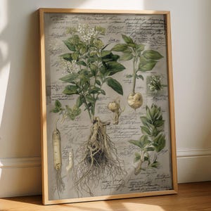 Peut inclure: Impression botanique encadrée. L'œuvre présente des dessins détaillés de plantes avec racines, feuilles et fleurs, accompagnés de notes manuscrites. La palette de couleurs comprend des verts, des bruns et des crèmes, créant une esthétique vintage. Le cadre est de couleur marron clair.