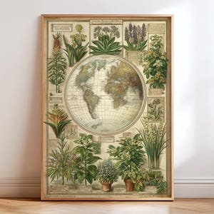 Op de afbeelding: Een ingelijste botanische print met een gedetailleerde wereldkaart in het midden, omringd door verschillende plantenillustraties. De print heeft een vintage esthetiek met een lichtbruine houten lijst. De planten staan in potten en vazen.