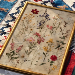 Vintage Herbarium-Wildblumendruck, Botanische Tafelkunst, Naturgeschichtliches Blumenposter Bild 2