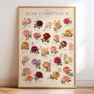 Vintage Rose Compendium-affisch, blommig väggkonst i botanisk trädgård