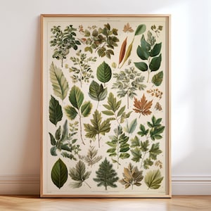 May include: A framed botanical print displaying diverse leaves in green, brown, and yellow hues. The leaves are arranged in a grid pattern on a cream background, enclosed within a wooden frame.