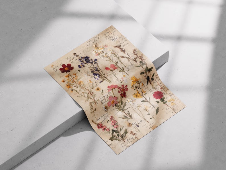 Vintage Herbarium-Wildblumendruck, Botanische Tafelkunst, Naturgeschichtliches Blumenposter Bild 5