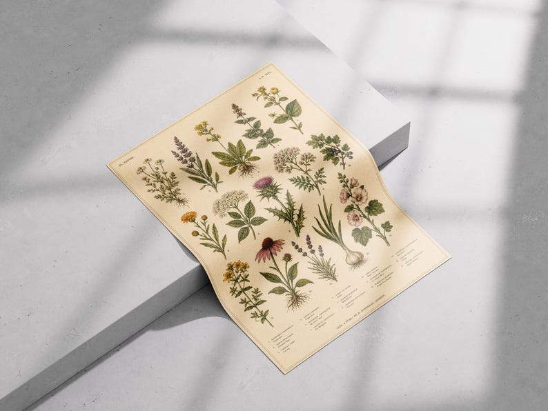 May include: A rectangular botanical print on cream-colored paper featuring detailed illustrations of various herbs and flowers. The artwork displays multiple plant species with green leaves and colorful blossoms, accompanied by small text labels.