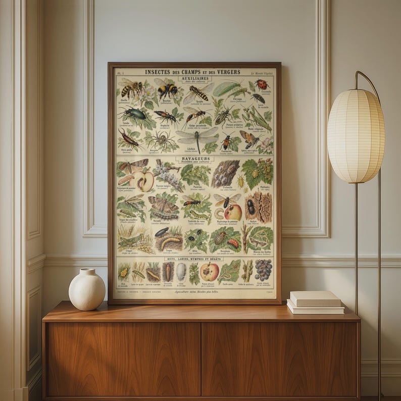 French Vintage Insect Chart Poster, Garden Bug Art Print, Botanical ...