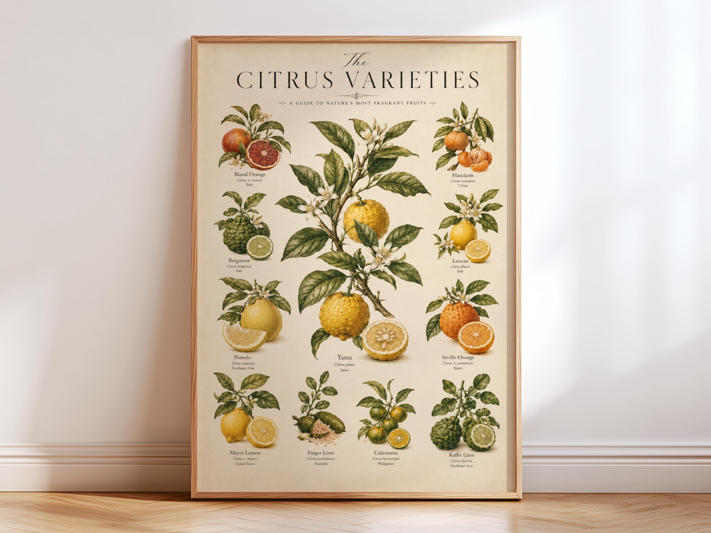Yuzu Print - Etsy