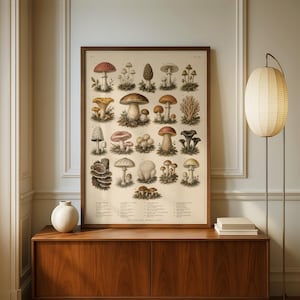 May include: A framed botanical print featuring a grid of various mushroom illustrations in earthy tones of brown, red, and cream. The poster displays detailed drawings of different fungi species with scientific labels listed in small text at the bottom.