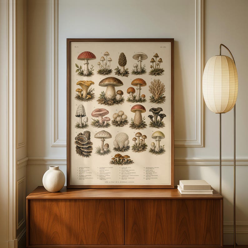 May include: A framed botanical print featuring a grid of various mushroom illustrations in earthy tones of brown, red, and cream. The poster displays detailed drawings of different fungi species with scientific labels listed in small text at the bottom.