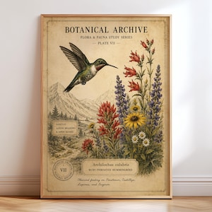 Può includere: Una stampa botanica in stile vintage intitolata BOTANICAL ARCHIVE FLORA & FAUNA STUDY SERIES PLATE VII. Raffigura un colibrì golarubino in volo, un paesaggio montano e vari fiori selvatici nei colori rosso, giallo e viola.