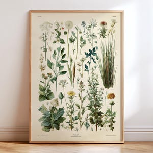Vintage Botanical Weeds Poster, Antique Plant Illustration Print, Wild Herb Wall Art, Cream Paper Nature Study Decor