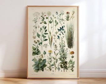 May include: A framed botanical print featuring a collection of various plant illustrations. The artwork showcases detailed drawings of flowers, leaves, and grasses in shades of green, white, and yellow against a cream-colored background. The frame is made of light-colored wood.
