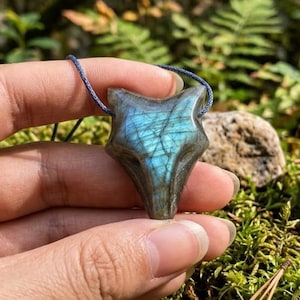 Può includere: Un ciondolo a forma di volpe intagliato in pietra labradorite, caratterizzato da una superficie lucida con riflessi blu iridescenti. Il ciondolo è sospeso a un sottile cordino blu scuro che passa attraverso la parte superiore del design.