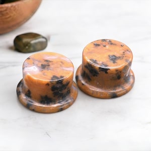 Natural Petrified Wood Opal Plugs, Opalized Wood Ear Gauges, Ancient Fossilized Stone Tunnels, Double Flared Organic Jewelry, Sold as Pair