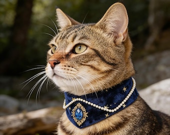 Celestial Navy Velvet Cat Collar with Sapphire Blue Crystal, Starry Night Pet Choker, Luxury Kitten Jewelry, Royal Gold Pearl Cat Necklace