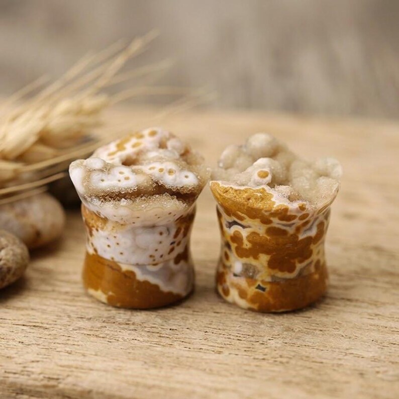 May include: Two natural stone plugs with a cylindrical shape. The plugs have a mix of colors, including white, brown, and tan. The top of each plug has a textured, crystalline appearance. The plugs are displayed on a wooden surface.