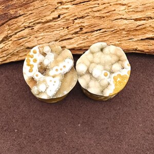 May include: Two round, natural stone plugs with a unique, textured surface. The plugs feature a mix of white, tan, and gold colors, with a speckled pattern. The background includes a piece of wood and a brown surface.