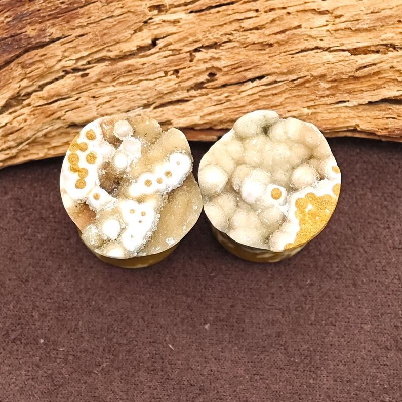 May include: Two round, natural stone plugs with a unique, textured surface. The plugs feature a mix of white, tan, and gold colors, with a speckled pattern. The background includes a piece of wood and a brown surface.