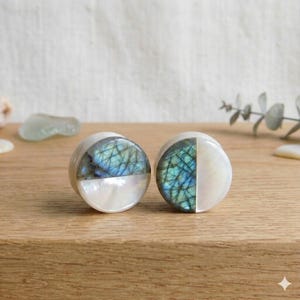 Può includere: Due tappi per le orecchie rotondi. Ogni tappo è per metà bianco e per metà blu e verde iridescente. I tappi sono realizzati in un materiale perlescente e poggiano su una superficie di legno.