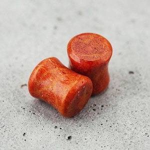 May include: Two orange-red wooden ear plugs with a flared shape. The plugs have a natural, porous texture and a glossy finish. The plugs are designed for stretched ear piercings.