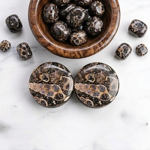 May include: A collection of polished, dark brown and tan gemstone plugs and tumbled stones. Two large, round plugs are in the foreground, with a wooden bowl filled with tumbled stones and additional stones scattered around.