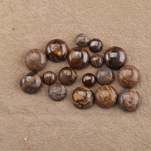 Può includere: Una collezione di pietre preziose rotonde e lucide di varie dimensioni. Le pietre presentano una miscela di tonalità marroni e dorate, con motivi e texture unici. Le pietre preziose sono sparse su una superficie neutra.