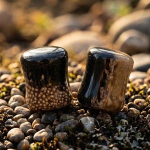 May include: A pair of cylindrical ear plugs with a smooth, polished finish. The left plug features a black top transitioning into a textured, light-colored base with small white dots. The right plug displays a black top fading into a brown, marbled base.