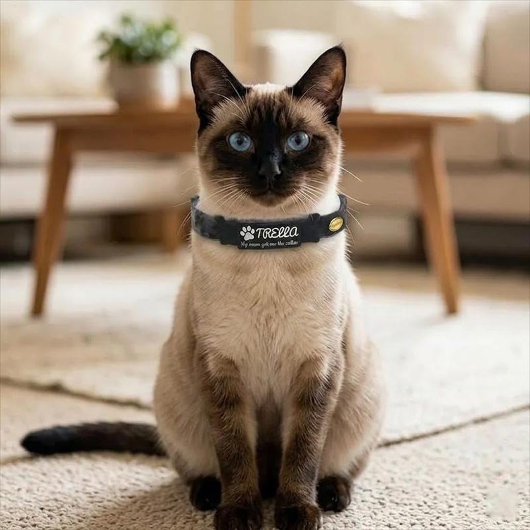 Personalized Leopard Print Cat Collar |custom Plush Faux Fur Kitten Dog ...