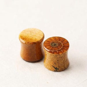 May include: A pair of cylindrical ear plugs with a concave profile. One plug features a smooth, light brown wood-grain surface, while the other displays a detailed, spiral-patterned fossilized ammonite shell inlay in shades of brown and tan.
