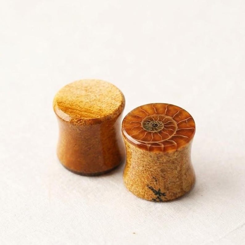 May include: A pair of cylindrical ear plugs with a concave profile. One plug features a smooth, light brown wood-grain surface, while the other displays a detailed, spiral-patterned fossilized ammonite shell inlay in shades of brown and tan.