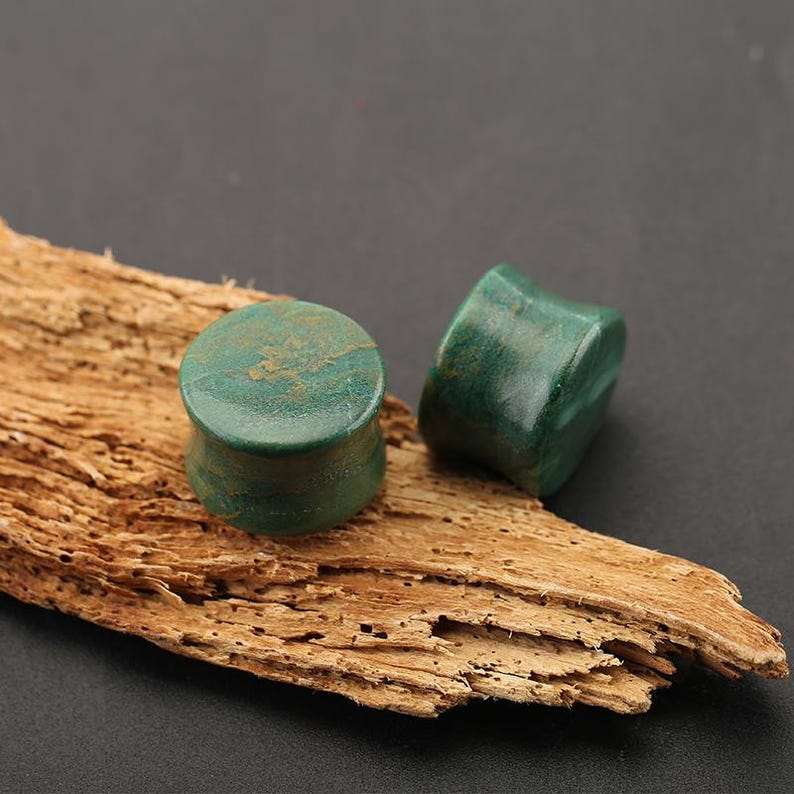 May include: Two circular ear plugs with a smooth, polished finish in a deep forest green color featuring subtle brown veining throughout the stone surface. The plugs have a concave side profile and a flat front face, showcasing natural mineral patterns.