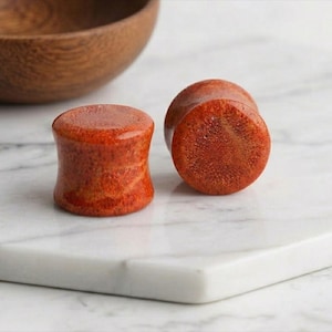 Natural Red Sponge Coral Plugs, Organic Sea Stone Ear Gauges, Vibrant Orange Red Tunnels, Double Flared Saddle Plugs, Sold as Pair