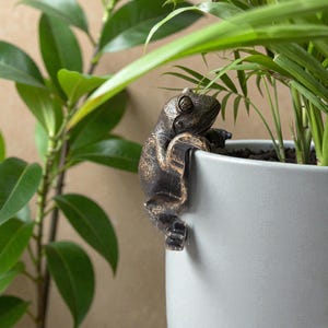Puede incluir: Un colgador de maceta con forma de rana de color bronce. La rana se aferra al borde de una maceta gris claro, con plantas verdes en el fondo. La rana tiene detalles y una superficie texturizada.
